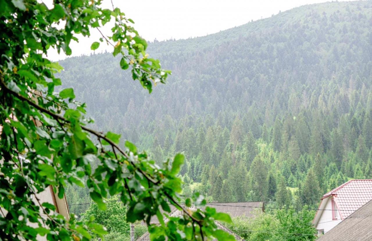 Файна Хижа Mizhhirya  Exterior foto